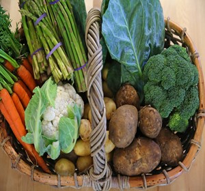 Selection of Veg in basket