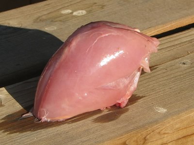 Grouse Breast
