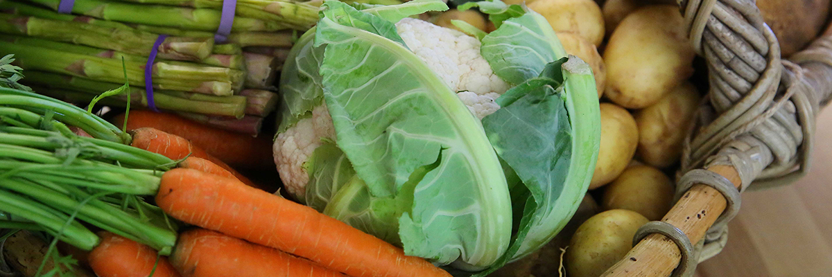 Vegetables Banner