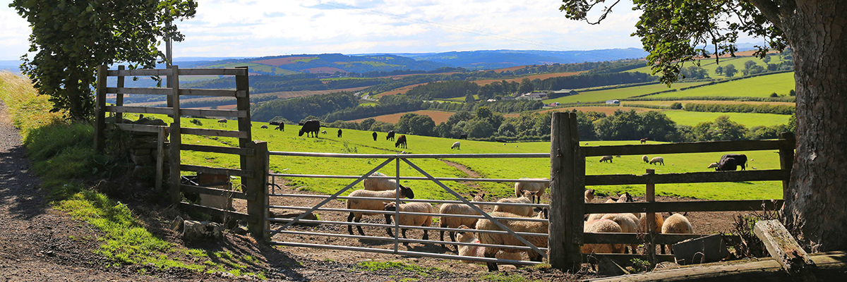 Farm Gates Banner