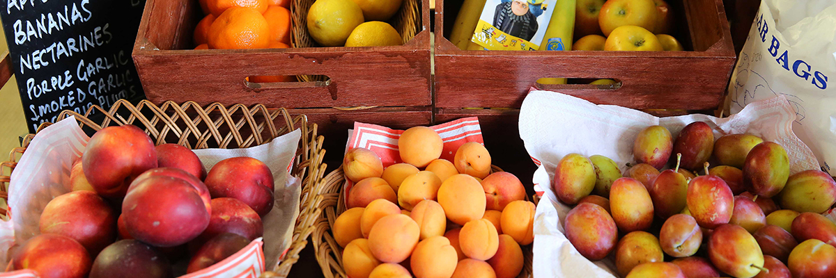 Shop Produce Banner