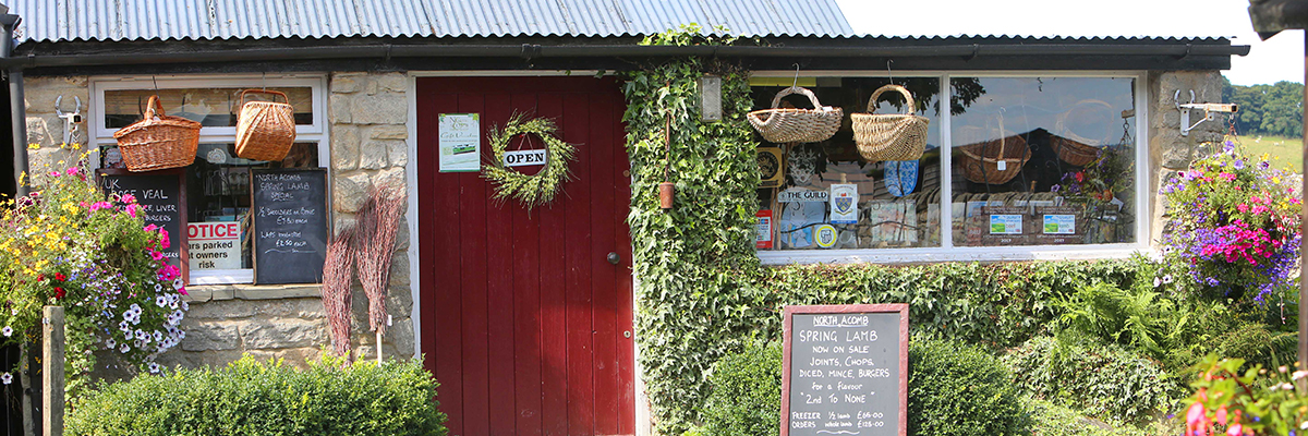 Shop Banner