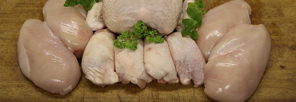 Chicken Banner